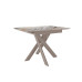 Стол DikLine DKB110, Керамика Venetian Brown Light глянец, опоры капучино Стол DikLine DKB110, Керамика Venetian Brown Light глянец, опоры капучино