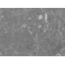 Стеновая панель MSK 120 длина 280 см, глянец Стеновая панель MSK 120 длина 280 см, глянец